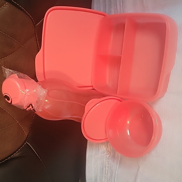 Tupperware LunchIt 3 Pc Set RHUBARB IS ONLY COLOR LEFT - Picture 2 of 10